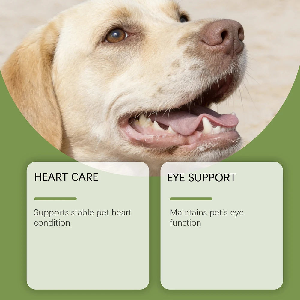 Daily Canine Taurine Powder: Gentle Nutritional Support