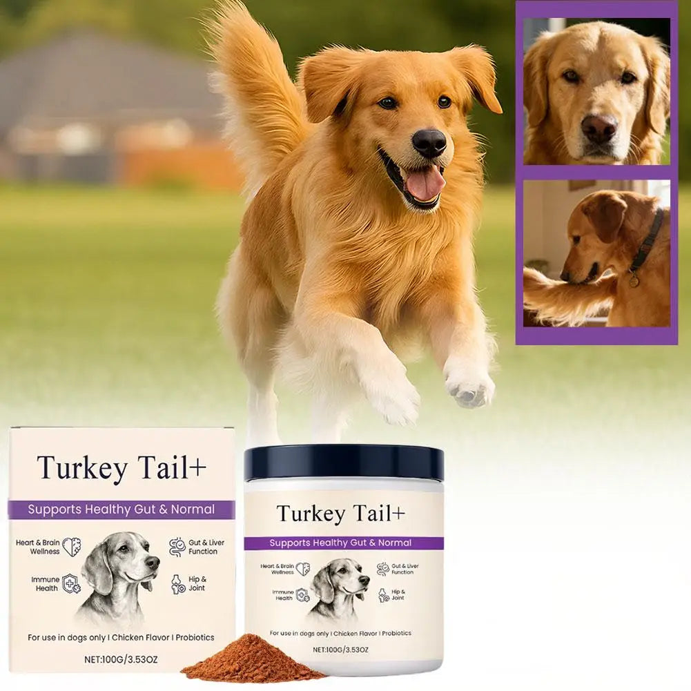 Dog Probiotic Intestinal Powder 100g Bacon Flavor Gut Health Supplement for Dogs Probiotics Digestive Support 3-Year Shelf Life