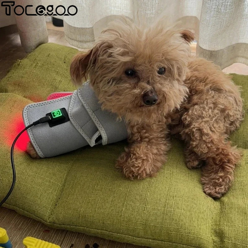 Cold Laser Therapy Belt for Joint Discomfort Relief Bone Deformity Repair Arthritis Healing Hip Joint Supplement Pet Bone Care