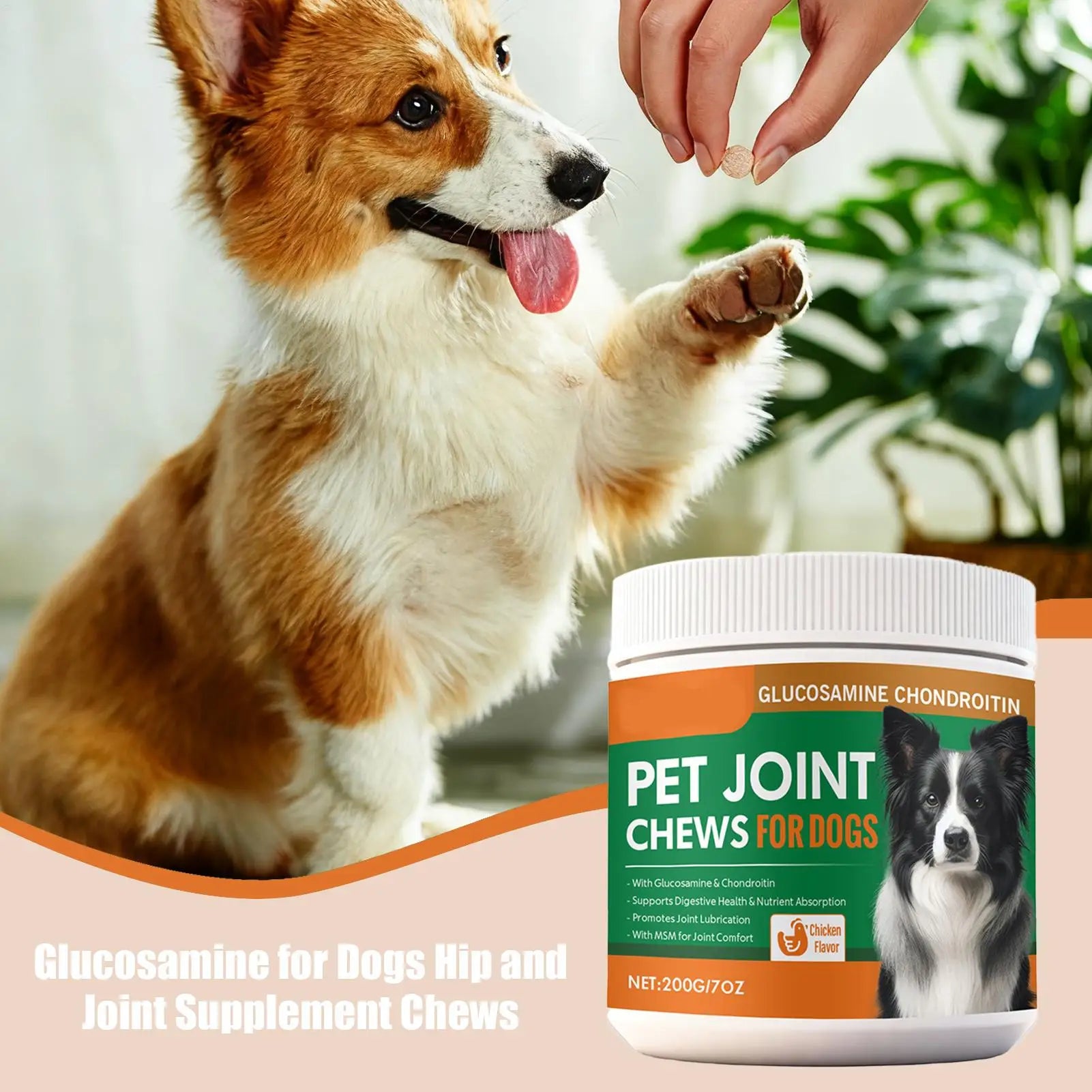 Joint Supplement for Dogs Chewable Pill 100-piece Dog Hip & Joint Care for Home Travel Daily Care Digestive Absorption Pet