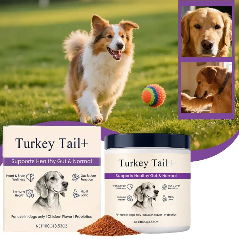 Dog Probiotic Intestinal Powder 100g Bacon Flavor Gut Health Supplement for Dogs Probiotics Digestive Support 3-Year Shelf Life