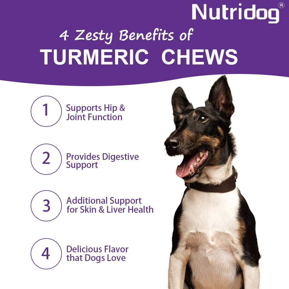 Golden Shield Curcumin Chews for Joint Health & Immunity