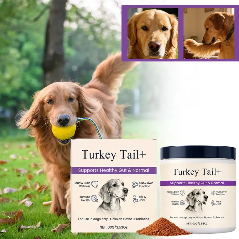 Dog Probiotic Intestinal Powder 100g Bacon Flavor Gut Health Supplement for Dogs Probiotics Digestive Support 3-Year Shelf Life