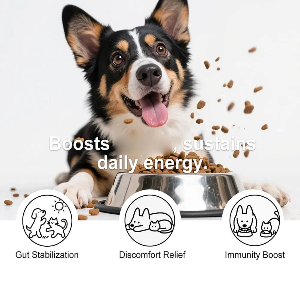 Dog Gut Health Powder Probiotic Digestive Support Joint Comfort Immune Care Natural Pet Nutrition Supplement