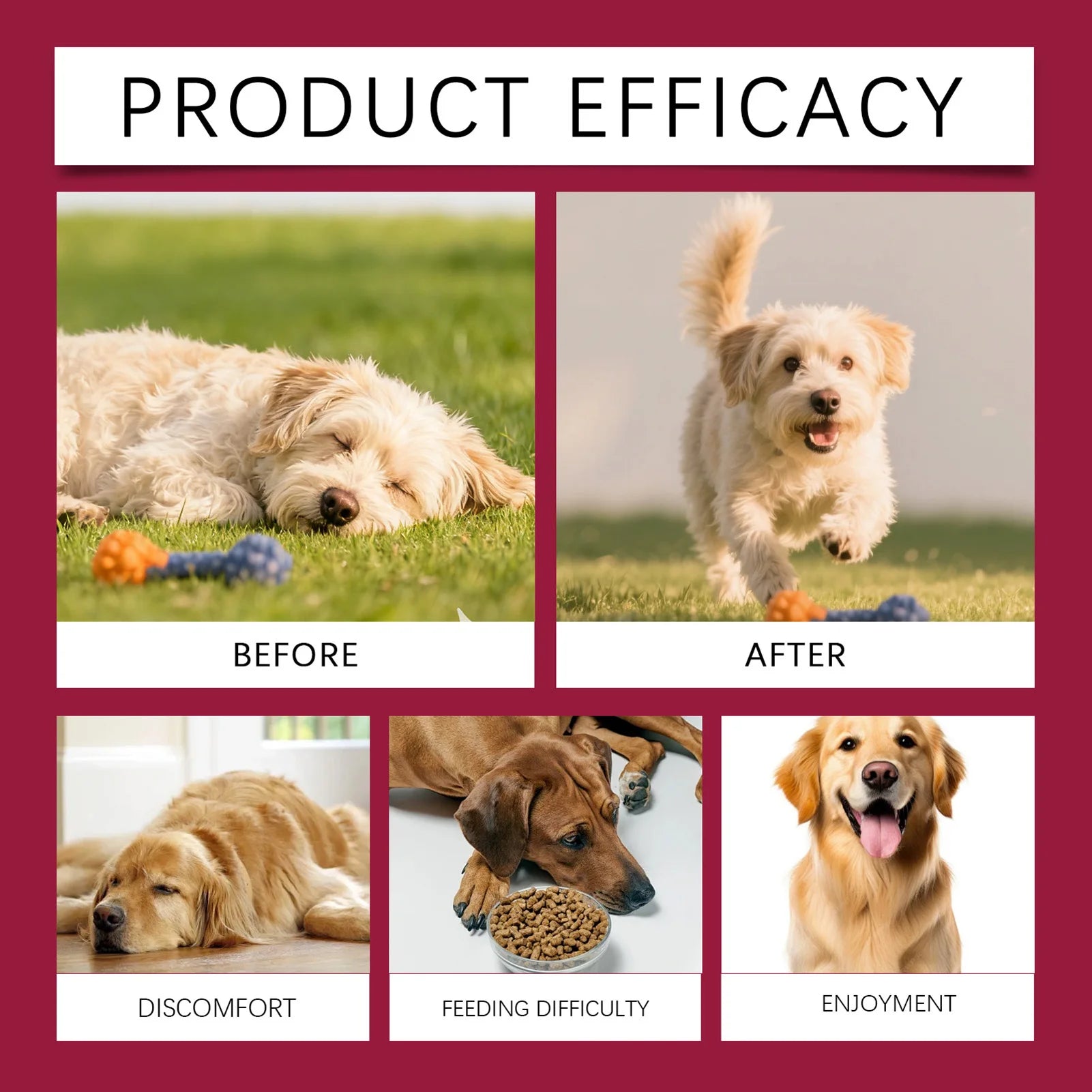 200g Joint Health Supplement For Dogs Relieves Joint Discomfort Stiffness Soft Chews Easy To Give Joint Supplement For Pet Care