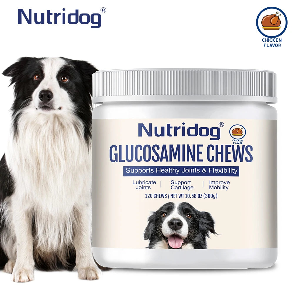 Joint Nutritional Supplement for Dogs, with Glucosamine,Curcumin&MSM, Lubricates Joints, Joint Pain Relief，For Senior Dogs,120ct