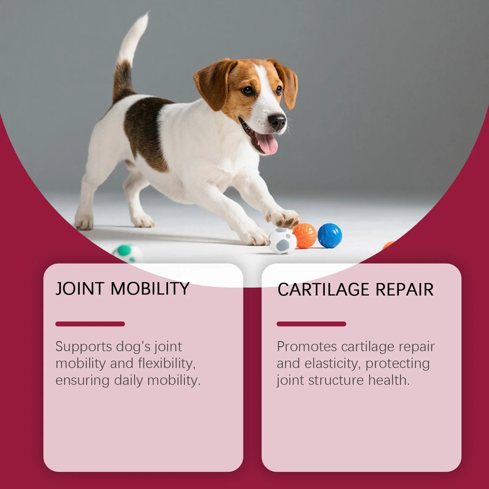 200g Joint Health Supplement For Dogs Relieves Joint Discomfort Stiffness Soft Chews Easy To Give Joint Supplement For Pet Care