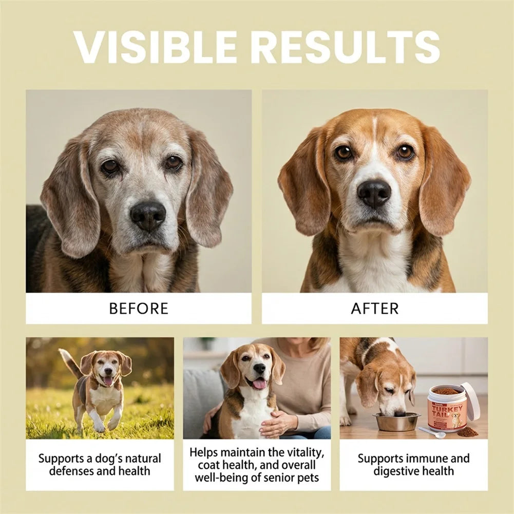 Easy To Feed Dog Supplement For Mobility And Shiny Coat Supports Health Joints & Mobility. Daily