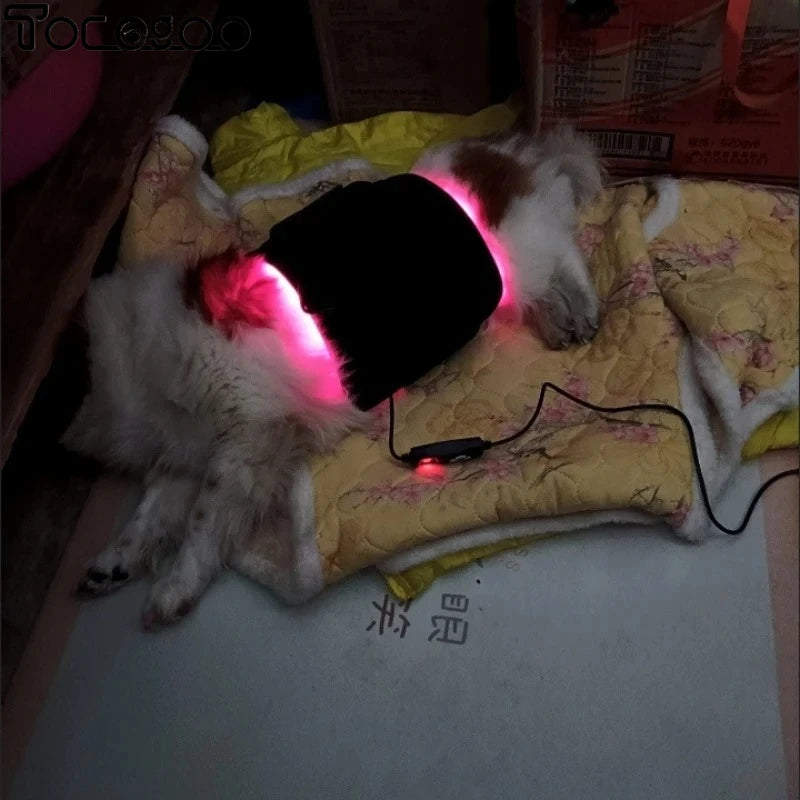 Cold Laser Therapy Belt for Joint Discomfort Relief Bone Deformity Repair Arthritis Healing Hip Joint Supplement Pet Bone Care