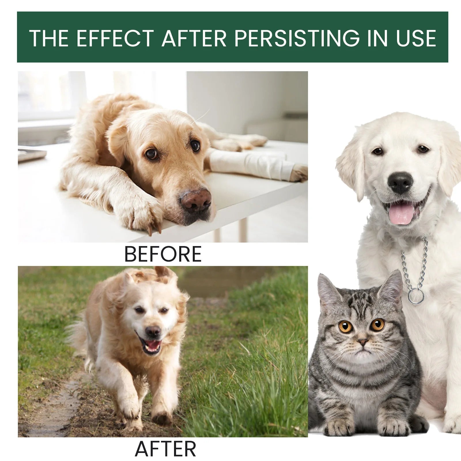 Dog Joint Care Drops Hip Joint Supplement Relieve Joint Discomfort Repair Bone Deformity Heal Arthritis Pet Bone Care Solution