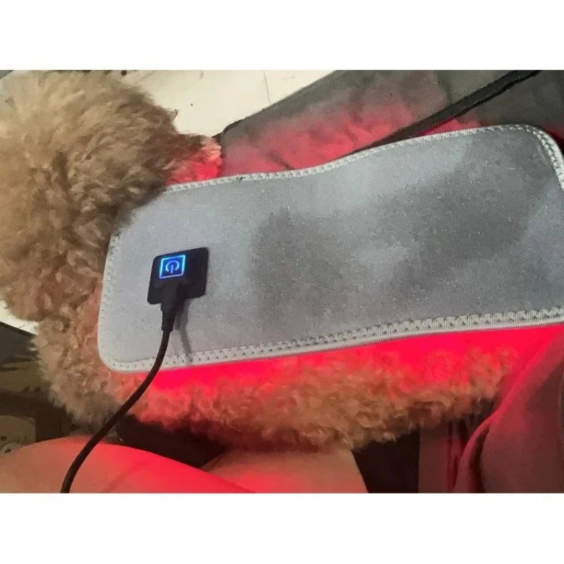 Cold Laser Therapy Belt for Joint Discomfort Relief Bone Deformity Repair Arthritis Healing Hip Joint Supplement Pet Bone Care