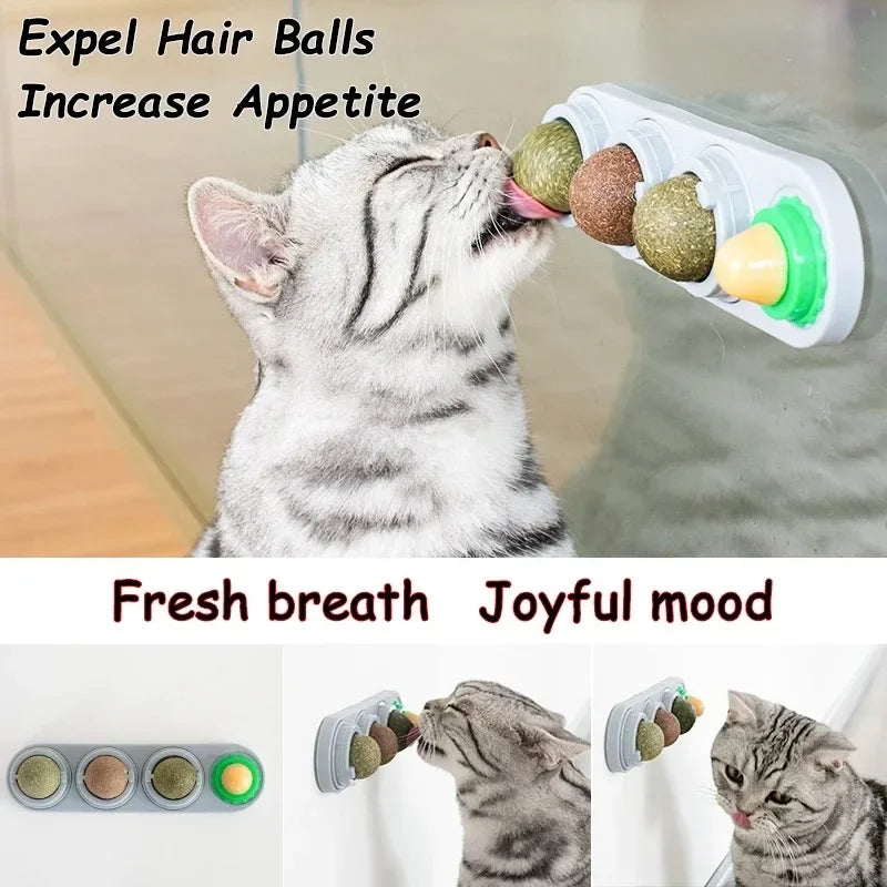 4 in 1 Rotating Catnip Silver Vine Ball Teeth Cleaning Acne Prevention