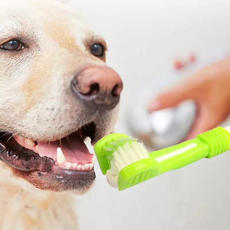 Pet Toothbrush Dog Cleaning Mouth Toothbrush Three Sided Multiangle