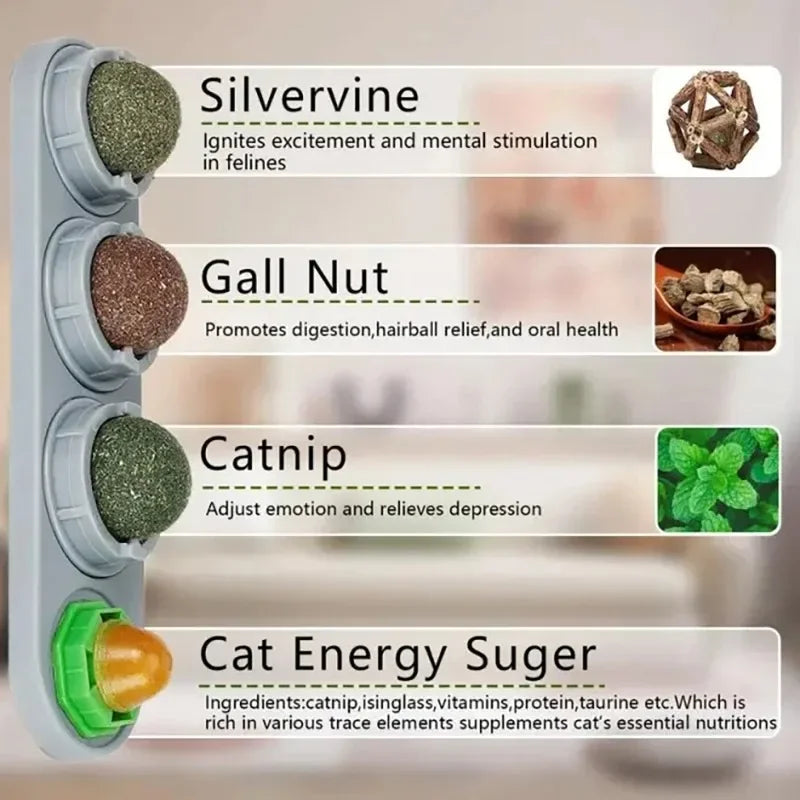4 in 1 Rotating Catnip Silver Vine Ball Teeth Cleaning Acne Prevention