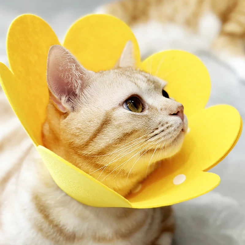 Pet Protective Collar Dog Neck Cone Recovery Cone Collar for Anti-Bite