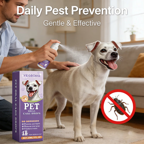 Pet Flea Spray Spray Effectively Removing Fleas Ticks Relieve Skin