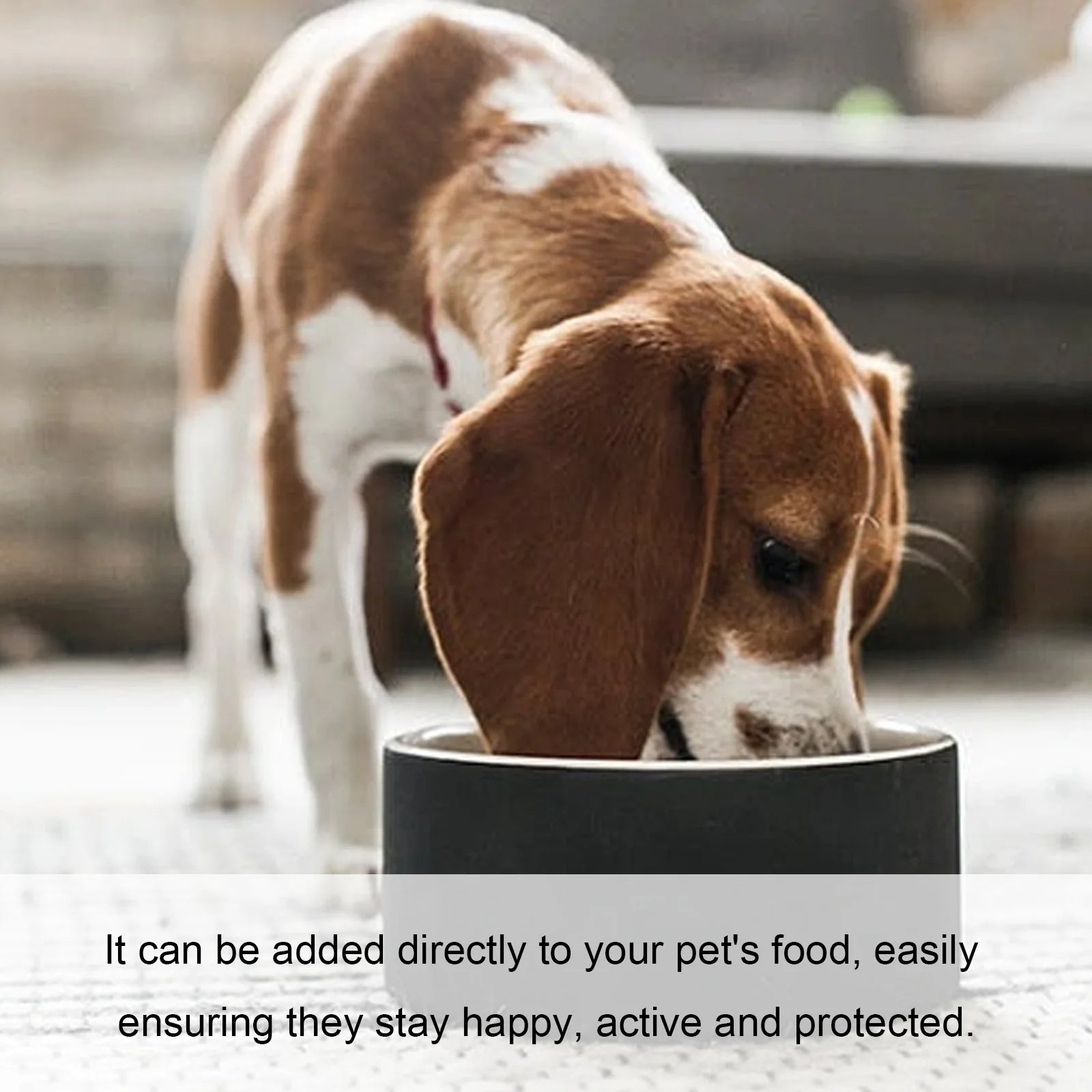 Yegbong Pet Health Drops Cats Dogs Balanced Nutrition Enhance Puppy