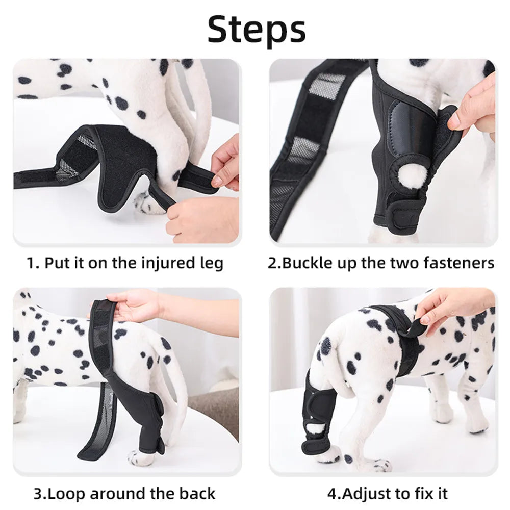 Dog Knee Brace Injury Recovery Fixed Support Brace Pet Leg Assist