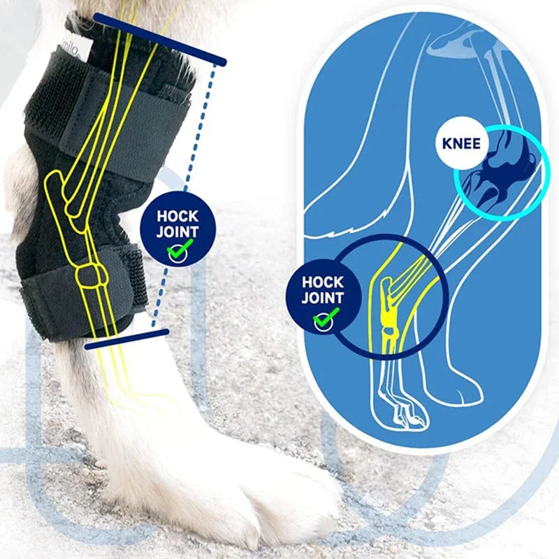 Injury Recover Legs Dog Arthritis Protector Support Protects Bandage