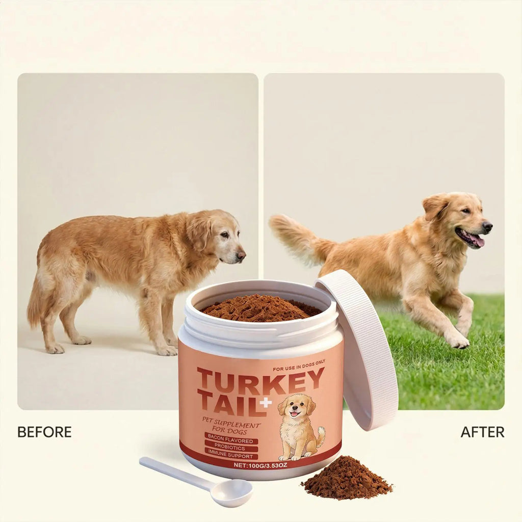 Radiant Paws: All-Age Skin & Coat Dog Supplement Powder