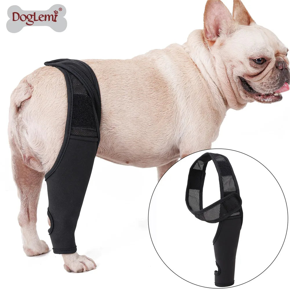 Dog Knee Brace Injury Recovery Fixed Support Brace Pet Leg Assist