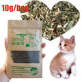 Natural Premium Catnip Cattle Grass Interactive Cat Non-toxic 10g