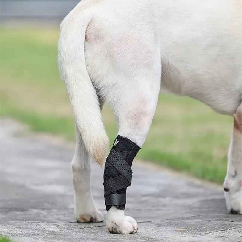 Updated Protects Bandage Dog Arthritis Protector Cover Dog Leg Support