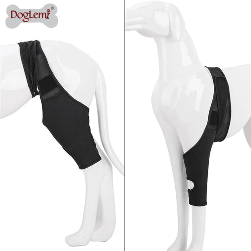 Dog Knee Brace Injury Recovery Fixed Support Brace Pet Leg Assist