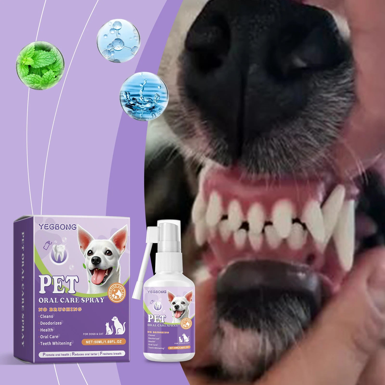 Pet Flea Spray Spray Effectively Removing Fleas Ticks Relieve Skin