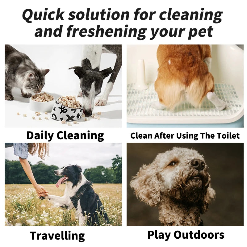 80PCS/pack Pet wipes Disposable Pure water formula Pet care Dog and