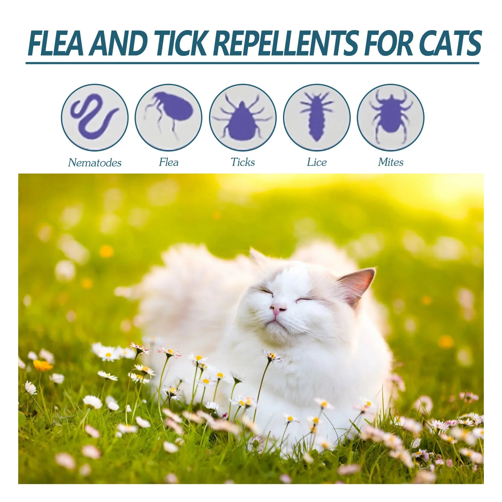 Pet Flea Tick Killer Drops for Dogs Cats - Safe Anti Lice Mite