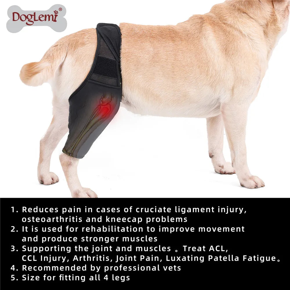 Dog Knee Brace Injury Recovery Fixed Support Brace Pet Leg Assist