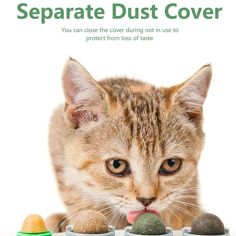 4 in 1 Rotating Catnip Silver Vine Ball Teeth Cleaning Acne Prevention