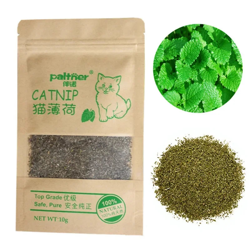 Natural Premium Catnip Cattle Grass Interactive Cat Non-toxic 10g