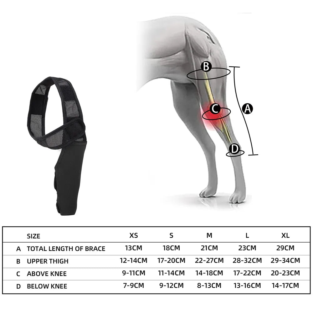 Dog Knee Brace Injury Recovery Fixed Support Brace Pet Leg Assist