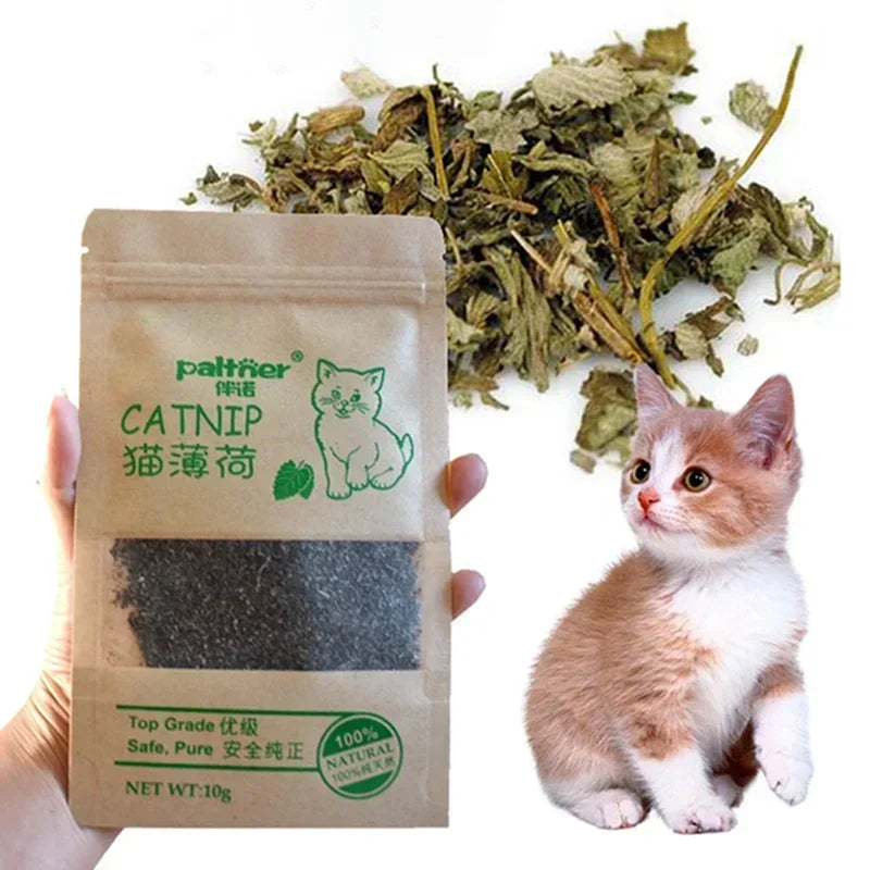Natural Premium Catnip Cattle Grass Interactive Cat Non-toxic 10g