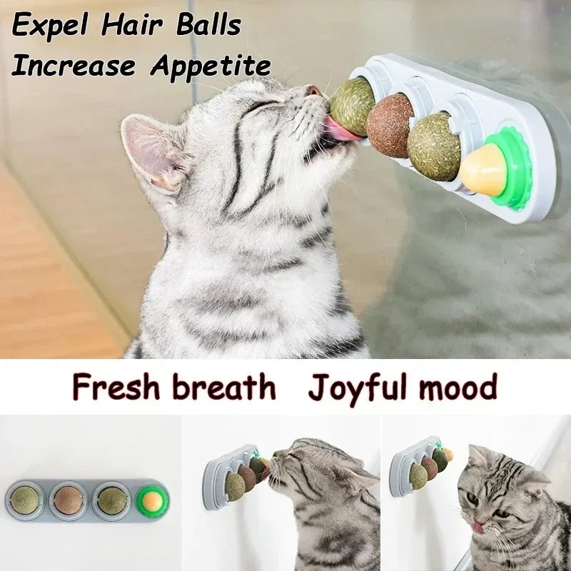4 in 1 Rotating Catnip Silver Vine Ball Teeth Cleaning Acne Prevention