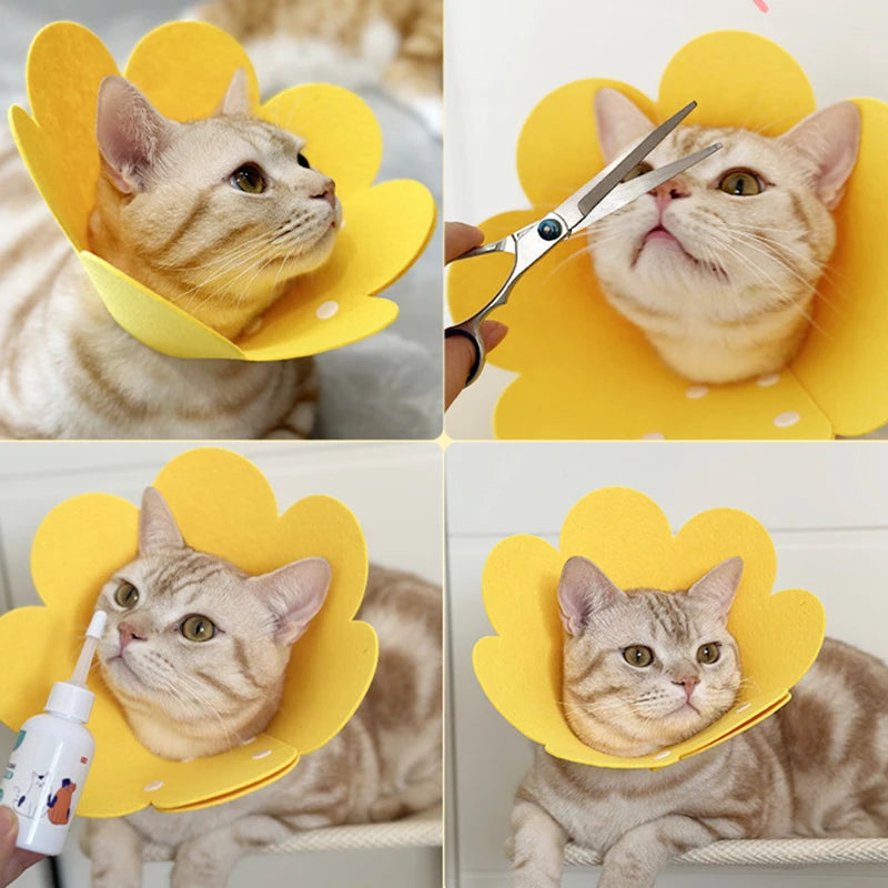 Pet Protective Collar Dog Neck Cone Recovery Cone Collar for Anti-Bite