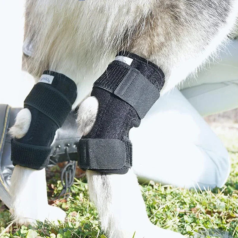 Injury Recover Legs Dog Arthritis Protector Support Protects Bandage