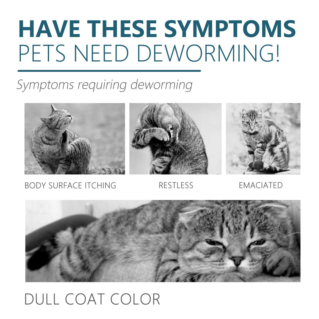 Pet Flea Tick Killer Drops for Dogs Cats - Safe Anti Lice Mite