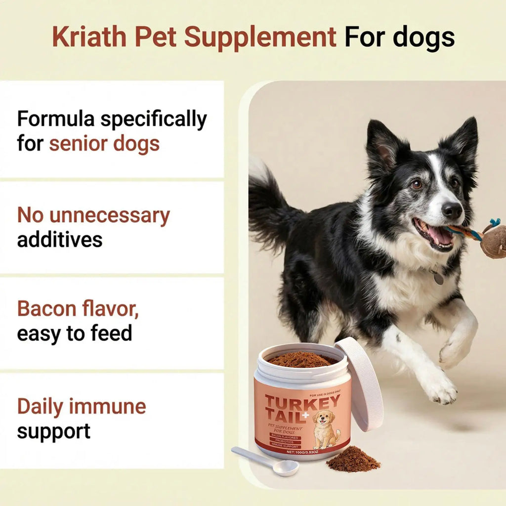 Radiant Paws: All-Age Skin & Coat Dog Supplement Powder
