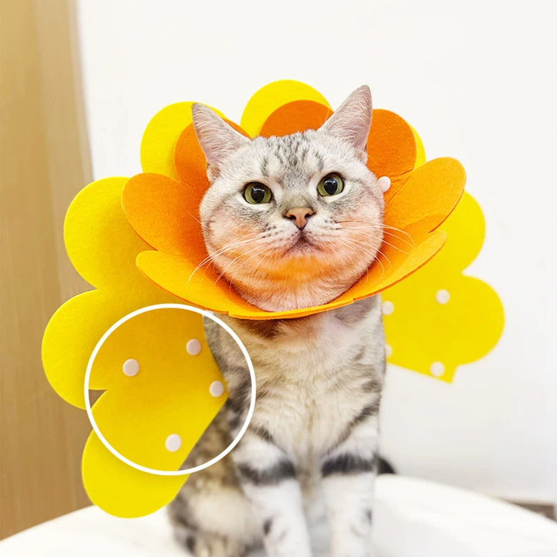 Pet Protective Collar Dog Neck Cone Recovery Cone Collar for Anti-Bite