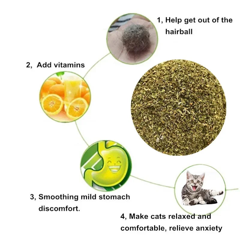 Natural Premium Catnip Cattle Grass Interactive Cat Non-toxic 10g