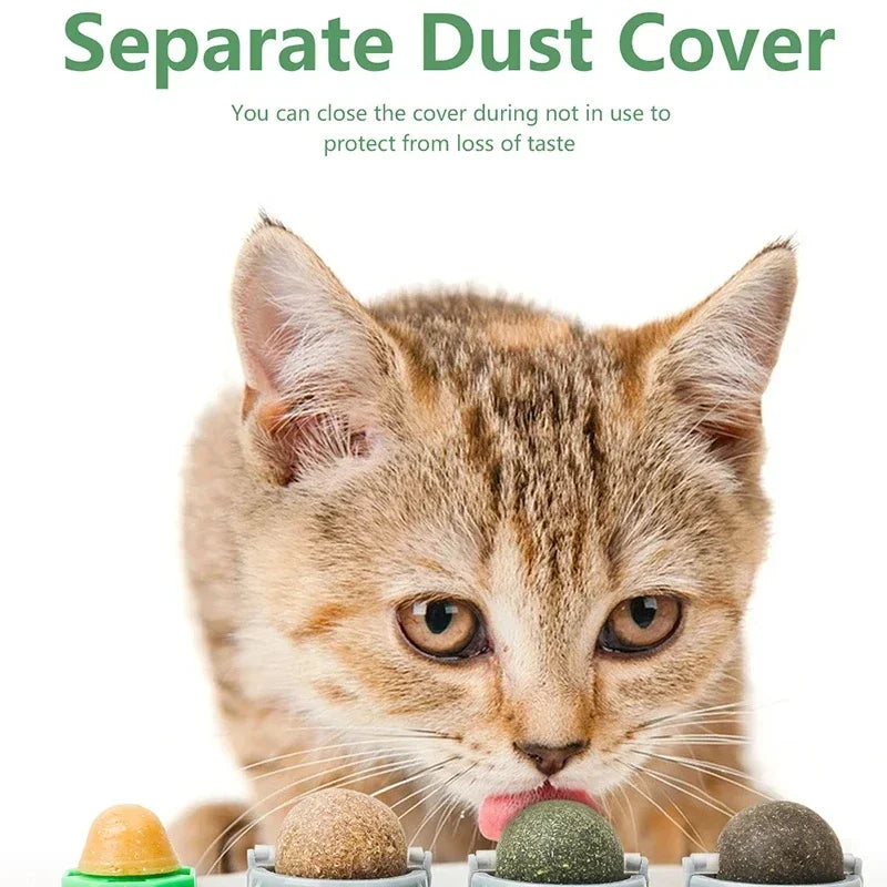 4 in 1 Rotating Catnip Silver Vine Ball Teeth Cleaning Acne Prevention