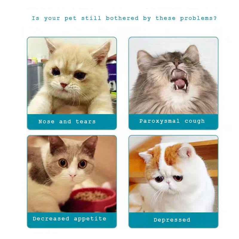 NEW 30ml Cat Nose, Cat Cold, Sneezing, Runny Nose, Cough, Asthma,