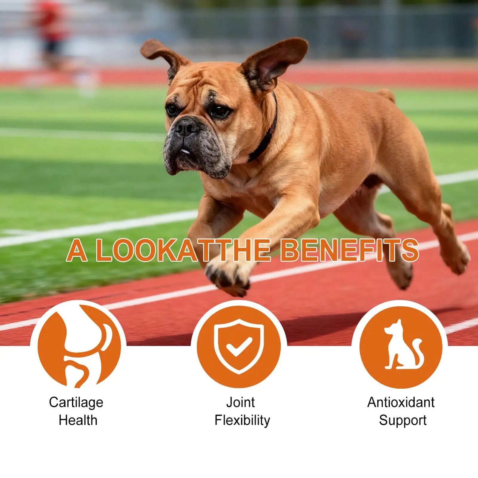 Glucosamine Boost: Dog Joint & Hip Mobility Chews - 100 Ct