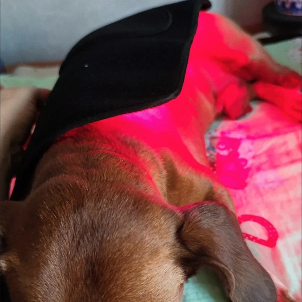 Cold Laser Therapy Belt for Joint Discomfort Relief Bone Deformity Repair Arthritis Healing Hip Joint Supplement Pet Bone Care