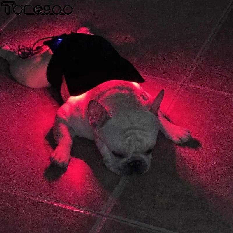 Cold Laser Therapy Belt for Joint Discomfort Relief Bone Deformity Repair Arthritis Healing Hip Joint Supplement Pet Bone Care