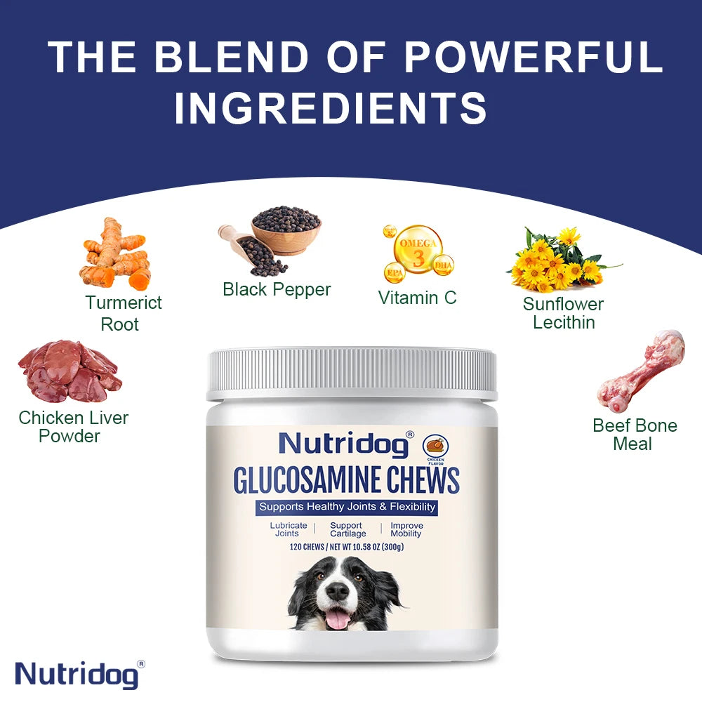 Joint Nutritional Supplement for Dogs, with Glucosamine,Curcumin&MSM, Lubricates Joints, Joint Pain Relief，For Senior Dogs,120ct