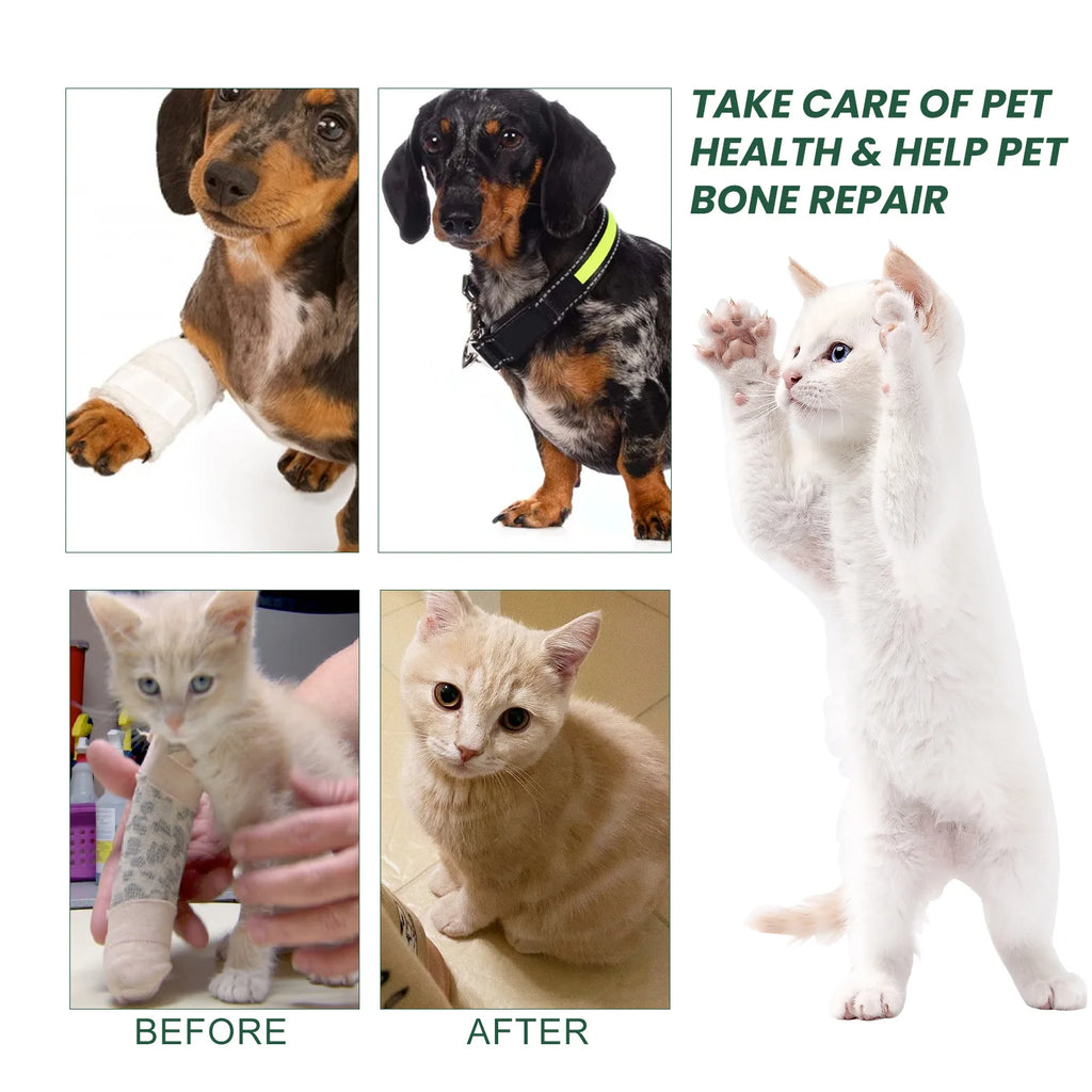 Dog Joint Care Drops Hip Joint Supplement Relieve Joint Discomfort Repair Bone Deformity Heal Arthritis Pet Bone Care Solution
